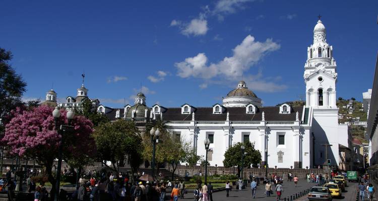 Großes weißes Gebäude mit einer Kuppel und einem Garten.