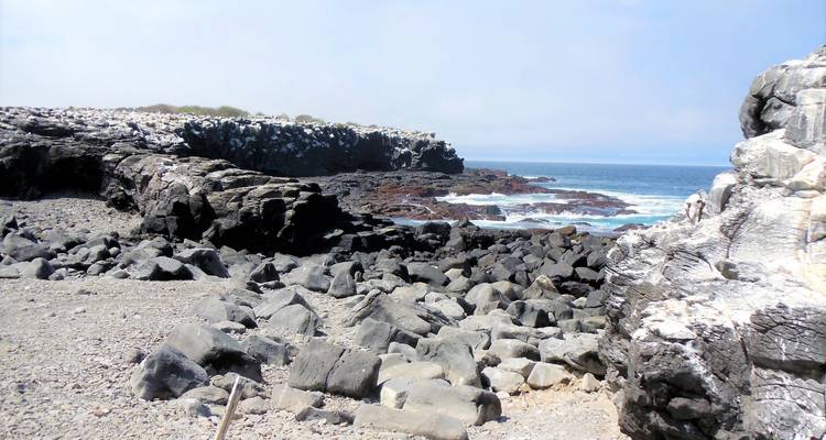 ¡experiencia privada de 10 días - lo más destacado de Ecuador y Galapagos exprés! * Nuevo - Signature DMC 1