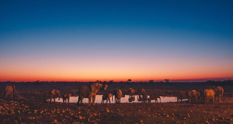 Safari en camping dans le nord de la Namibie et sur la côte des Squelettes - 7 jours - Chameleon Safaris Namibia 3
