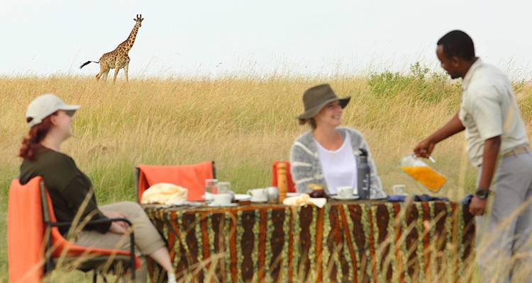 Deux personnes prenant un repas en plein air avec une girafe en arrière-plan.