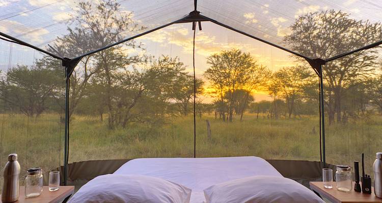 Vue depuis l'intérieur d'une tente donnant sur la savane au lever du soleil.