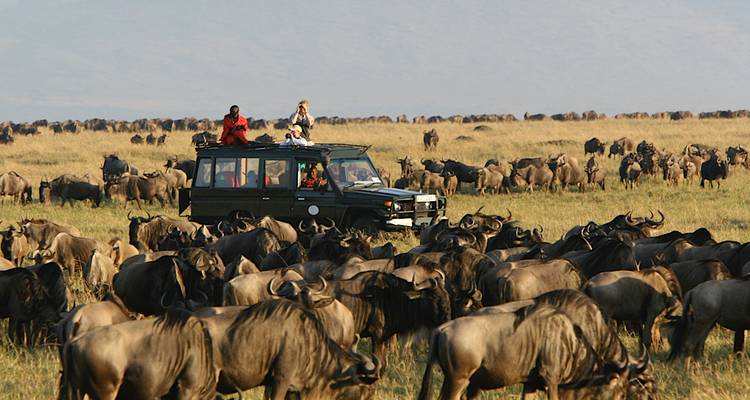Jeep avec des personnes en safari observant des gnous dans le Maasaï Mara.