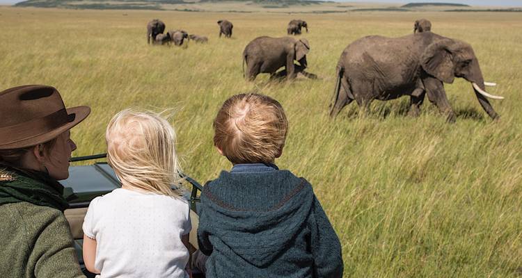 Famille observant des éléphants dans les prairies.