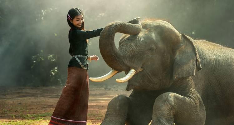Viaje al triángulo de oro del noreste con el Parque Nacional de Kaziranga - Amazing India Tours 2