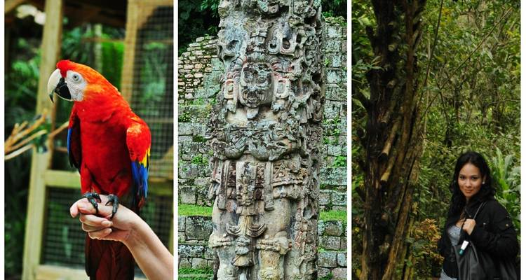 Honduras: San Pedro Sula, Copan Ruins & Roatan - 5 days - Receptivo Aborigen Tours 8