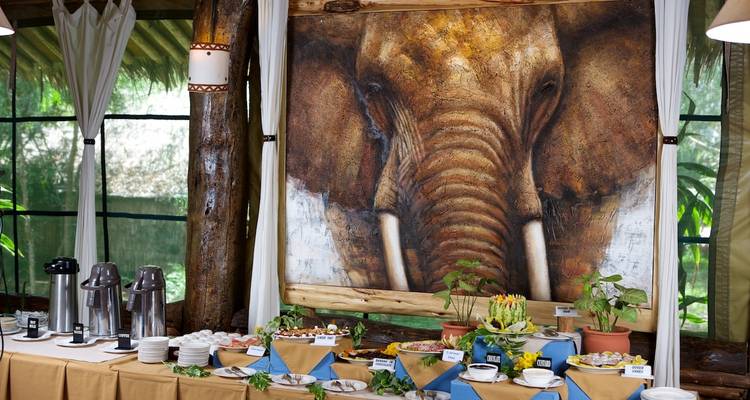 Circuit de 13 jours en Afrique de l'Est (gorilles et safari) - Exciting Africa Holidays 7