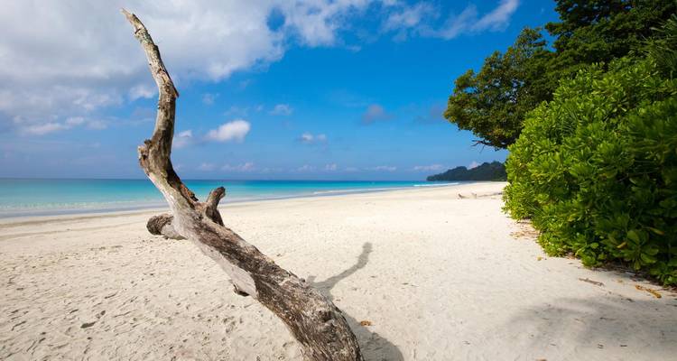 Cultural Wonders of Tamil Nadu & the Beaches of Havelock - MTA Destination Management Company 7