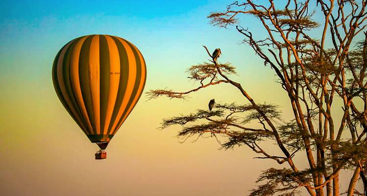 Un ballon à air chaud dérive devant un arbre avec des oiseaux perchés dans les couleurs douces de l'aube