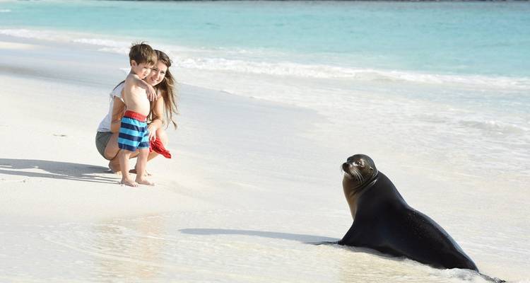 Galapagos Cruise - Discover Central, East & South Islands in 8 Days aboard the Monserrat - Via Natura Ecuador 8