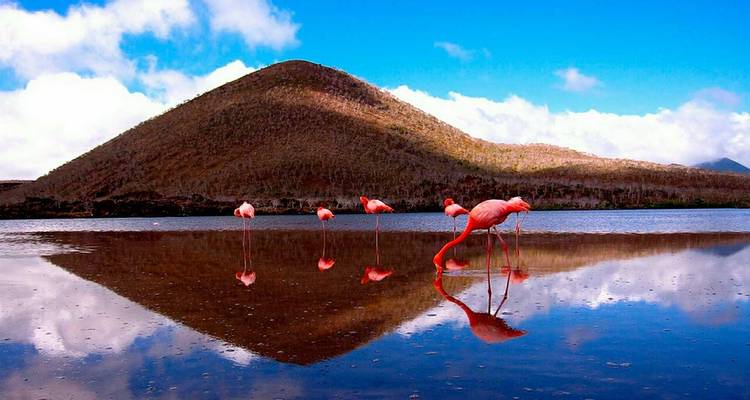 Galapagos Cruise - Discover Central, East & South Islands in 8 Days aboard the Monserrat - Via Natura Ecuador 9