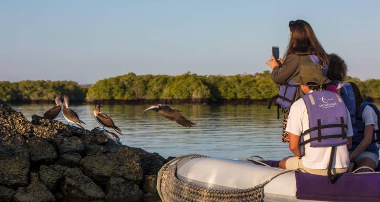 Croisière aux Galápagos - Découvrez les îles centrales, nord et ouest en 8 jours à bord du Monserrat - Via Natura Ecuador 3