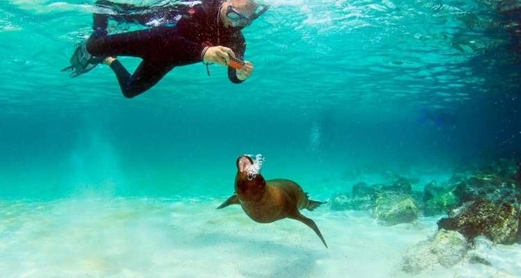 Croisière aux Galápagos - Découvrez les îles centrales, nord et ouest en 8 jours à bord du Monserrat - Via Natura Ecuador 10