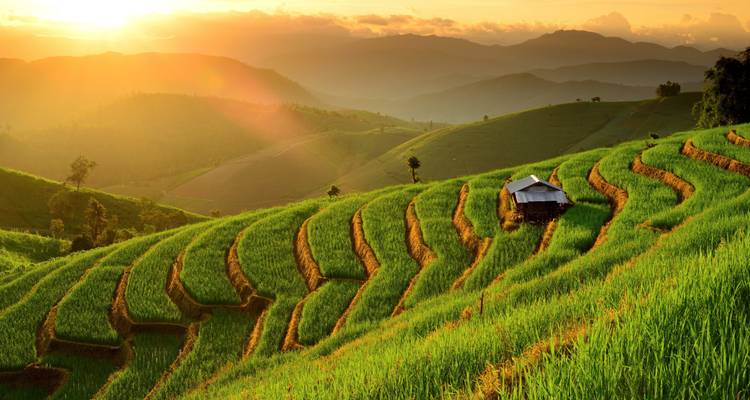 Thailand Grand Tour, Private Tour - Destination Services Thailand 1