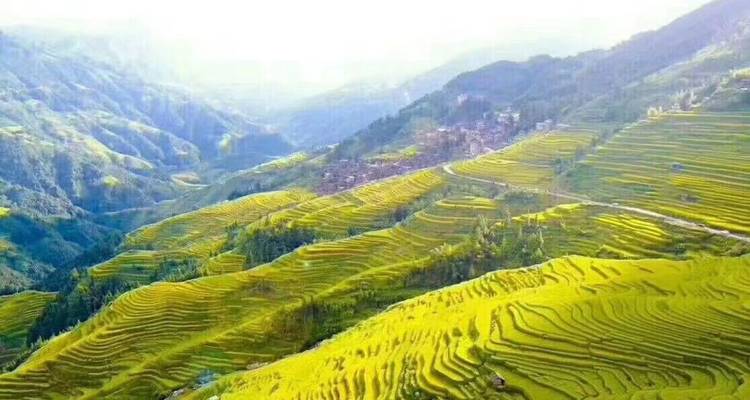 Southern China Explore 12D to GZ: Shanghai to Zhangjiajie, Yangshuo and Guangzhou - Silk Road Trips 10