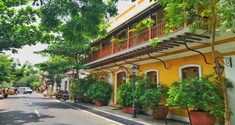 Une végétation luxuriante borde une rue pittoresque avec des bâtiments de style colonial.