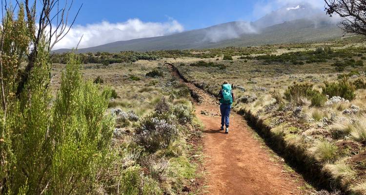 Safari a la cumbre del Kilimanjaro Machame y campamento - privado - OneSeed Expeditions 2