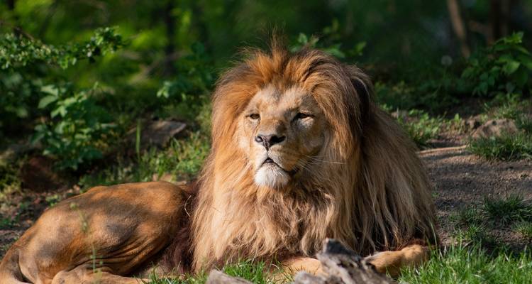 Tailor-Made Private Tanzania & Zanzibar Adventure, Daily Departure - Agate Travel 4