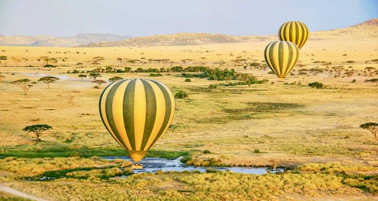 Three striped hot-air balloons glide above a sprawling golden savannah at dawn.