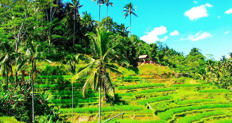 Tailor-Made Private Bali Tour with Daily Departure - Agate Travel 3