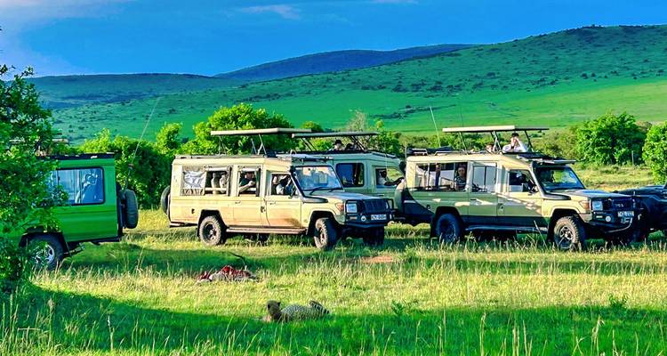 Plusieurs jeeps de safari s'arrêtent sur une prairie verte tandis qu'un guépard se cache au premier plan.