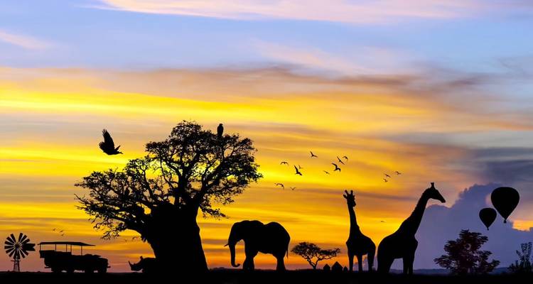 Silhouettes de la faune africaine, d'un arbre et d'un véhicule de safari contre un ciel de coucher de soleil coloré.