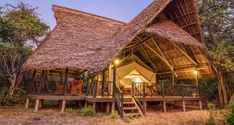 Une tente de safari surélevée au toit de chaume éclairée chaleureusement au crépuscule au milieu de la forêt.
