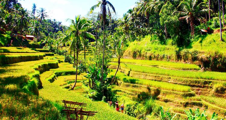 Customized Indonesia Holiday, Private Local Guide & Daily Depart - Agate Travel 7