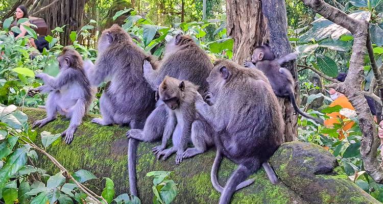 Customized Indonesia Holiday, Private Local Guide & Daily Depart - Agate Travel 1