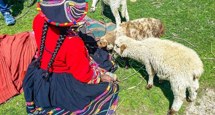 Vrouw in traditionele kleding met lammeren op een grasveld.