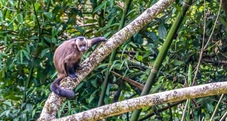 14-Day Tailor-Made Peru Family Holiday, Daily Depart & Private Guide - Agate Travel 7