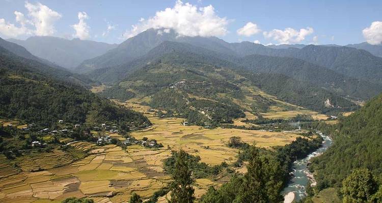 Ein üppiges grünes Tal mit einem Fluss, der hindurchfließt.