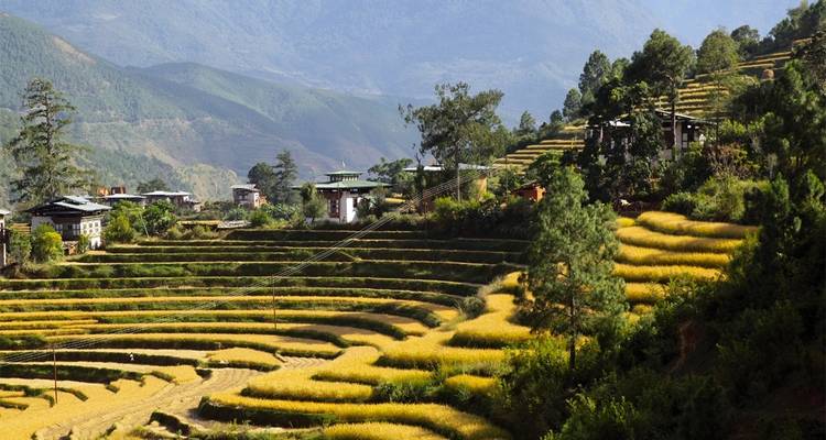 Circuit photographique au Bhoutan : 8N/9D - Bhutan Best Inbound Tour 6