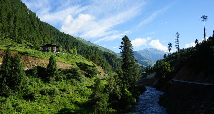 Circuit ornithologique et animalier au Bhoutan - Bhutan Best Inbound Tour 1