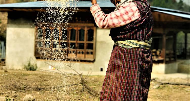 Circuit ornithologique et animalier au Bhoutan - Bhutan Best Inbound Tour 8