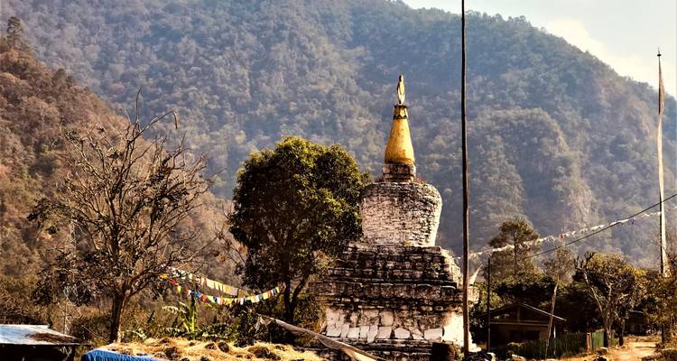 Circuit ornithologique et animalier au Bhoutan - Bhutan Best Inbound Tour 9