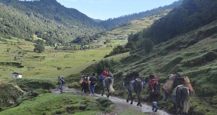 Maravillas de Bután con la ruta natural de 3 días por Gangtey - Bhutan Acorn Tours & Travel 7