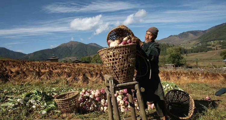 Maravillas de Bután con la ruta natural de 3 días por Gangtey - Bhutan Acorn Tours & Travel 8
