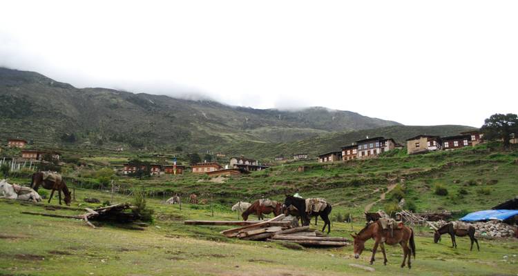 Bhutan Scenic Jomolhari Laya Gasa Trek - Bhutan Acorn Tours & Travel 1