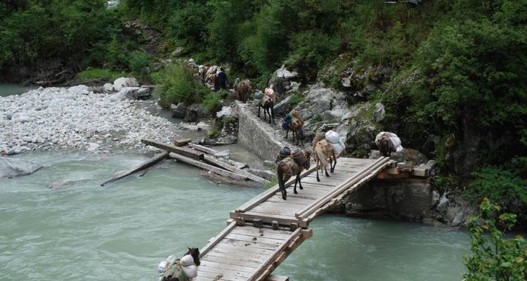 Bhutan Scenic Jomolhari Laya Gasa Trek - Bhutan Acorn Tours & Travel 7