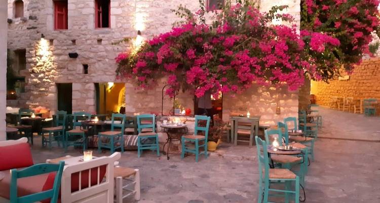 Terrasse de restaurant avec chaises colorées et fleurs.