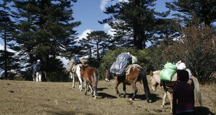 Circuit culturel au Bhoutan avec Trek de 2 jours dans la vallée de Bumthang - Bhutan Acorn Tours & Travel 3