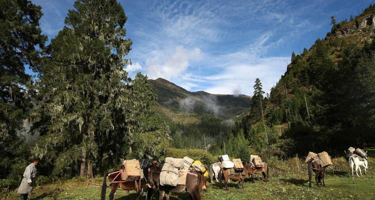 Bhoutan Jomolhari Trek de Paro à Thimphu via Lingzhi - Bhutan Acorn Tours & Travel 2
