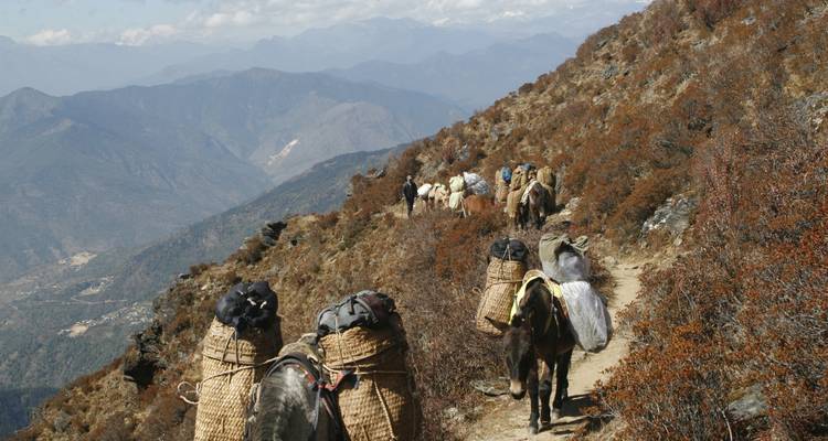 Ruta de los mil lagos de Dagala en Bután - Bhutan Acorn Tours & Travel 4