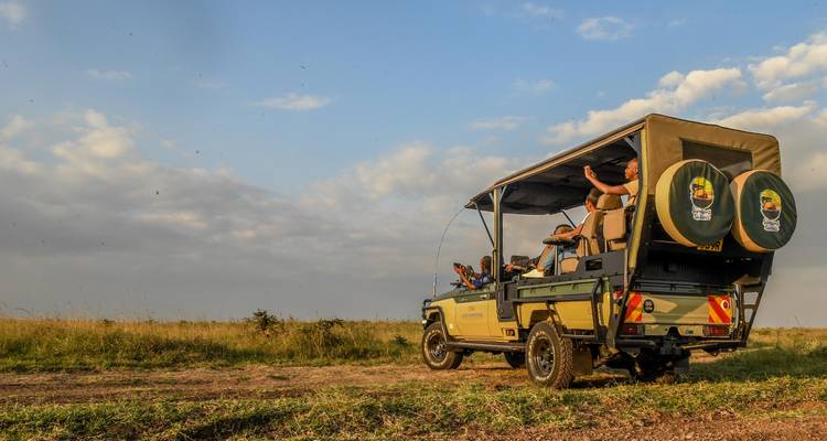 Safari au lever du soleil dans le parc national de Nairobi - circuit en jeep ouverte
 - Samson's Safaris 6