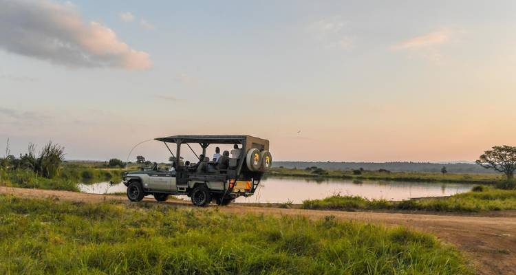 Safari au lever du soleil dans le parc national de Nairobi - circuit en jeep ouverte
 - Samson's Safaris 7