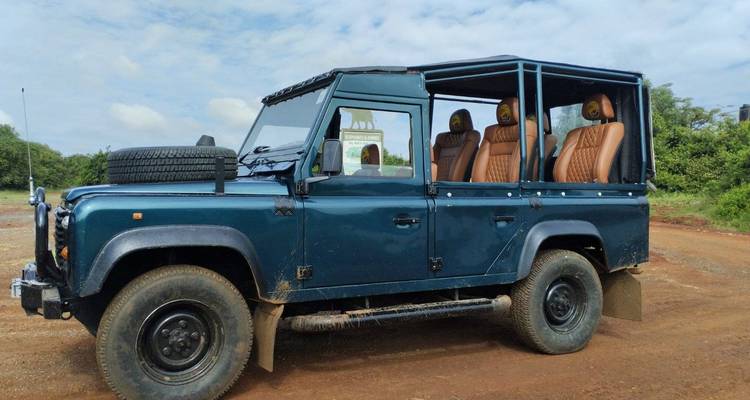 Safari au lever du soleil dans le parc national de Nairobi - circuit en jeep ouverte
 - Samson's Safaris 10