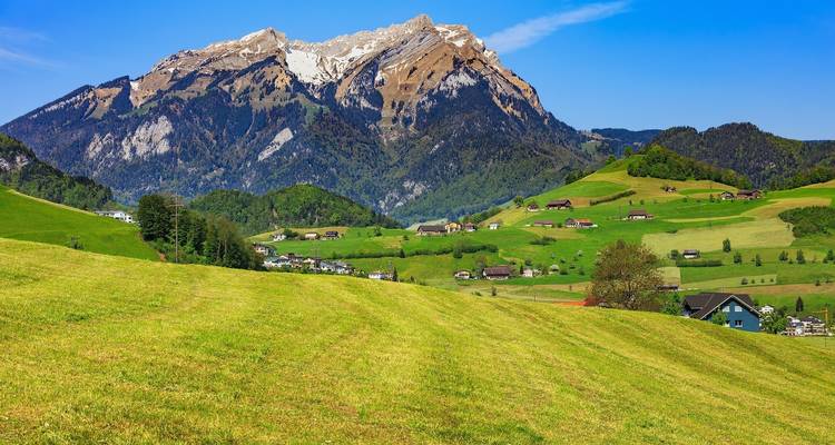 Vast green meadows with mountains in the background under a clear blue sky.