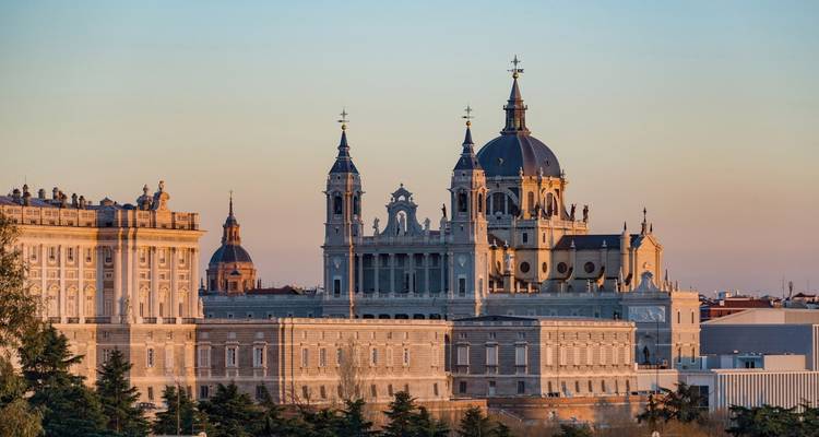 Koninklijk Paleis van Madrid met bomen op de voorgrond.