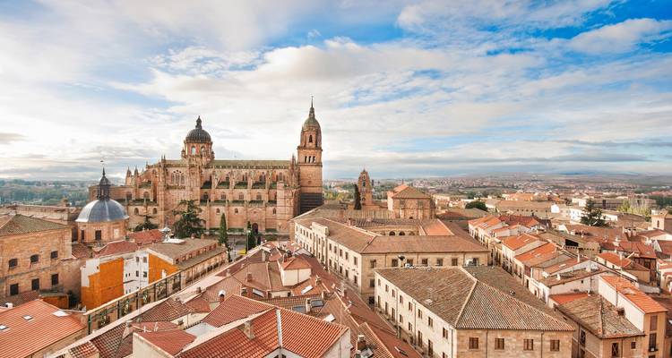 Panoramisch uitzicht op Salamanca met de Nieuwe Kathedraal prominent op de voorgrond.