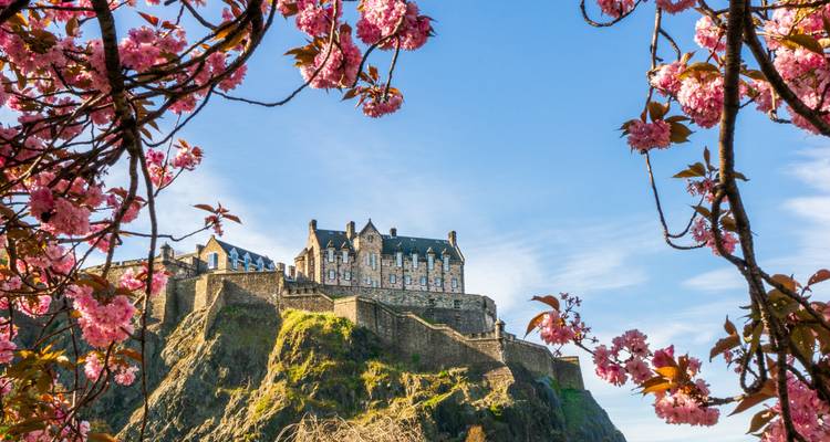 Edinburgh Castle omlijst door roze kersenbloesems